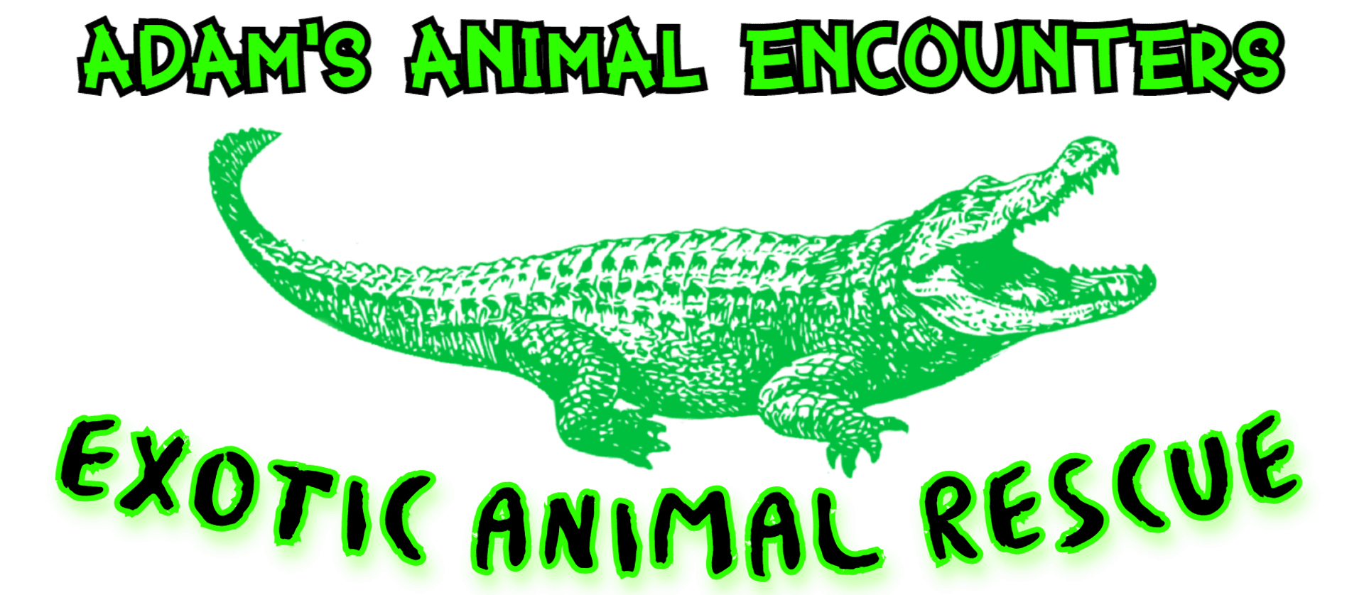 Adam's Animal Encounters- Reptiles Revealed!