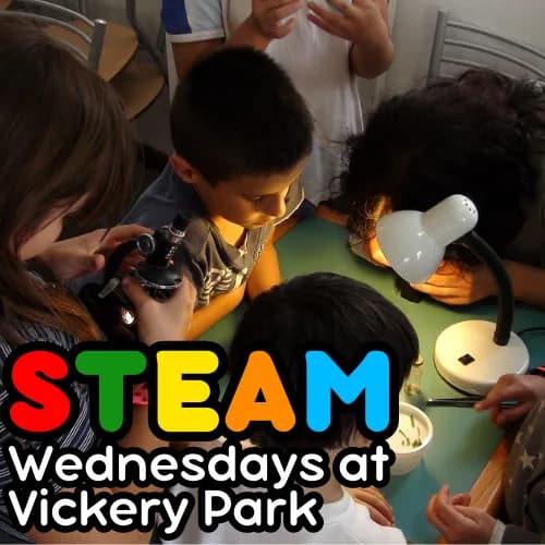 STEAM Wednesday's at Vickery Park